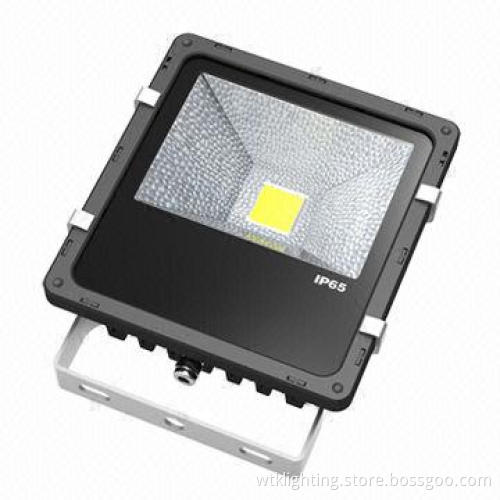 30W COB LED Floodlight, Bridgelux